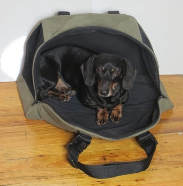 TotePets™ Cargo Hatch Carrier