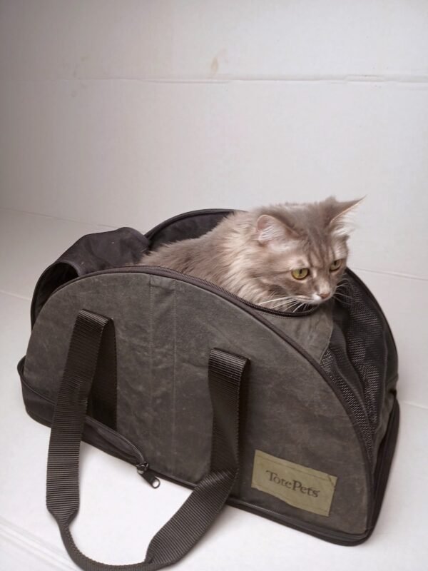 TotePets™ Collapsible Carrier Black